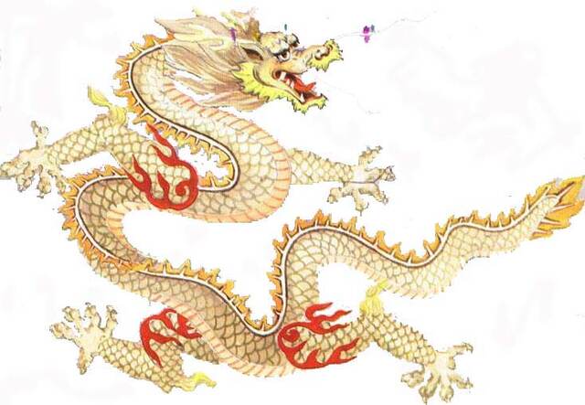 金龙中国功夫学院-Golden Dragon Chinese Culture and Kung-Fu